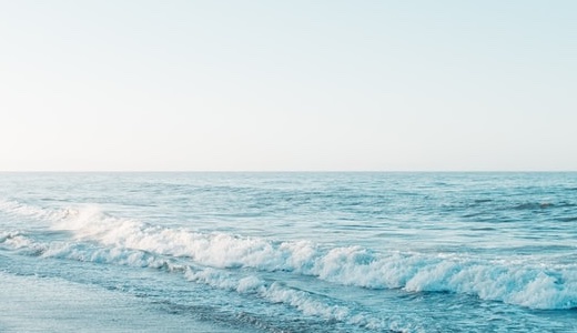 気になる猫の嘔吐！病気の場合とその見極め方