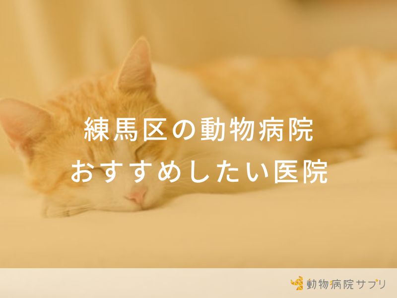 【2024年】練馬区の動物病院 おすすめしたい7医院