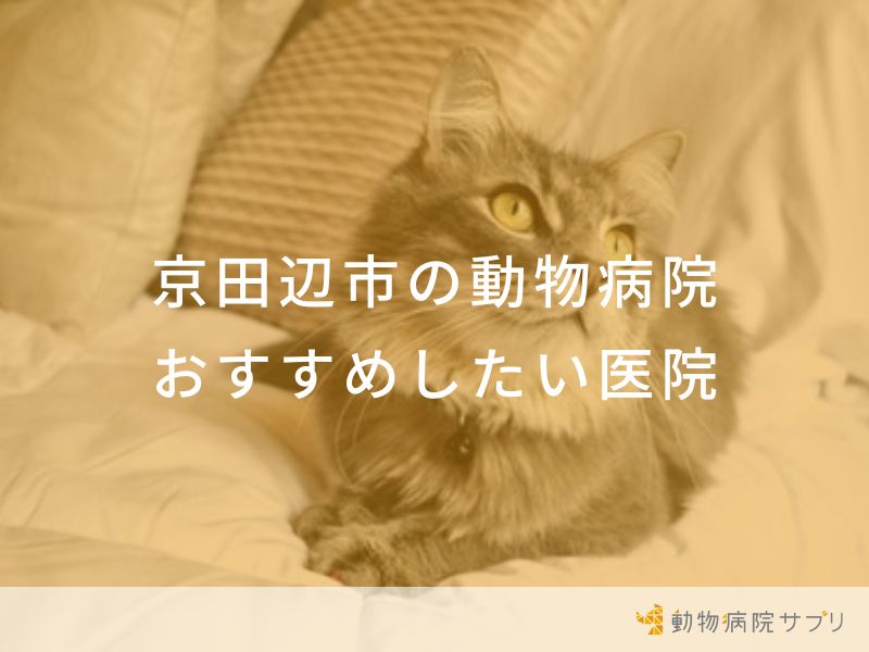 京田辺市の動物病院