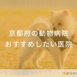 京都府の動物病院 おすすめしたい6医院