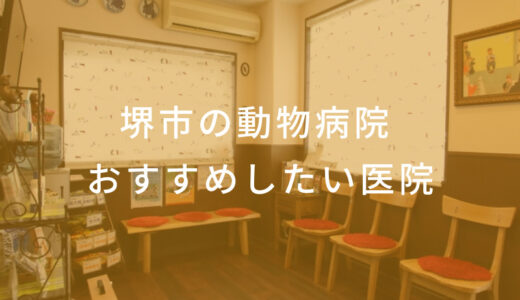 【2024年】堺市の動物病院 おすすめしたい7医院