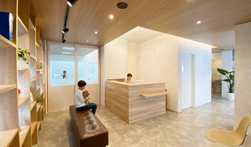 京橋コパン動物病院