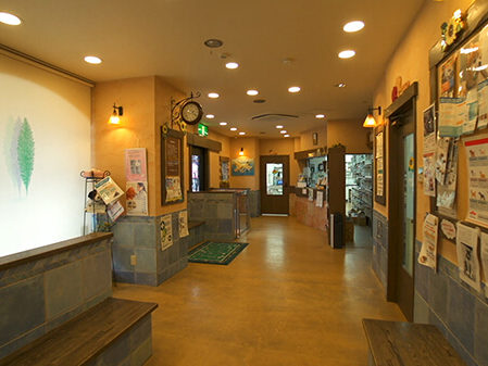 ひまわり動物病院