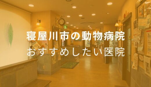 【2024年】寝屋川市の動物病院 おすすめしたい5医院