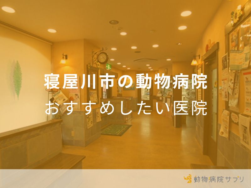 寝屋川市の動物病院 おすすめしたい医院