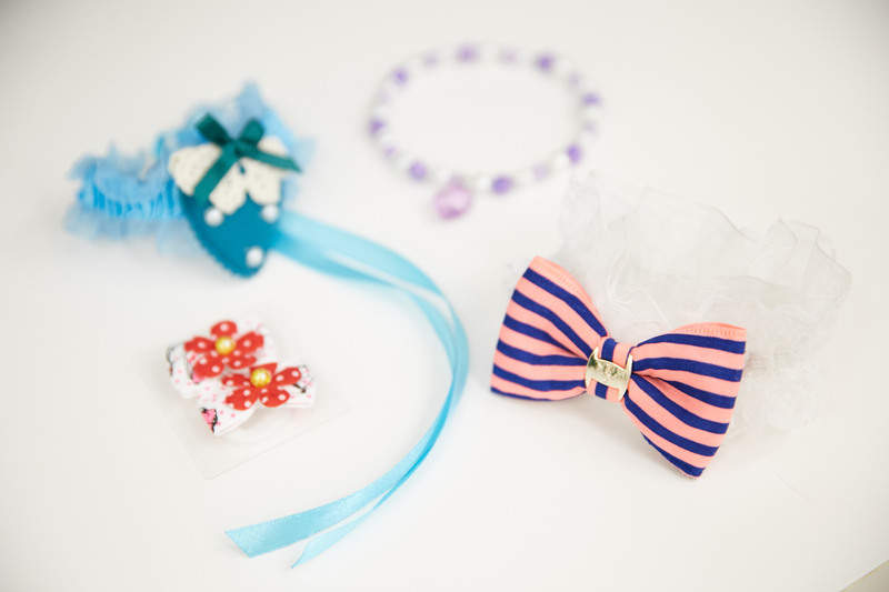 ポルト動物病院