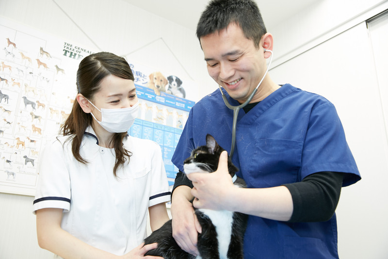 ポルト動物病院