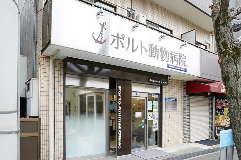 ポルト動物病院