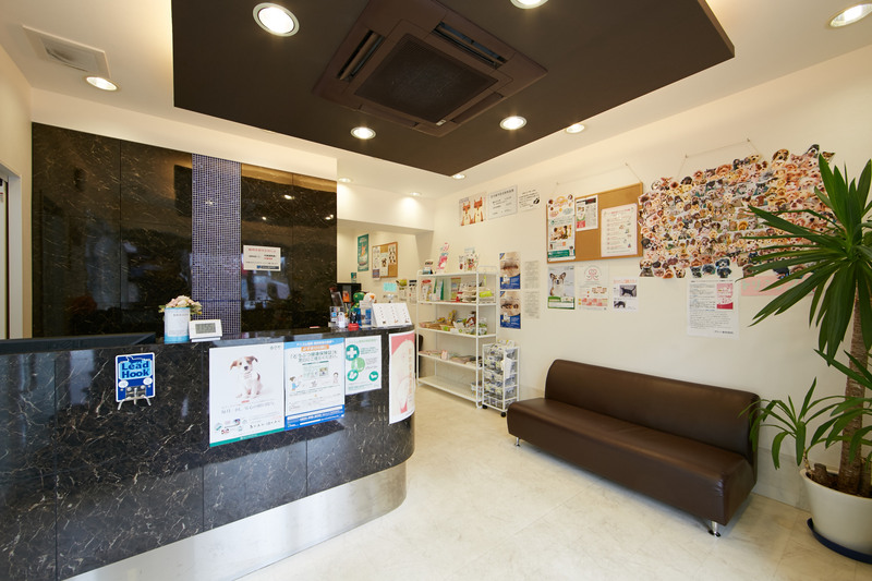 ポルト動物病院