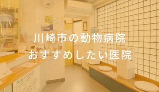 【2024年】川崎市の動物病院 おすすめしたい7医院