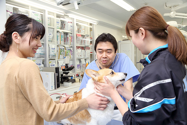 南子安動物病院