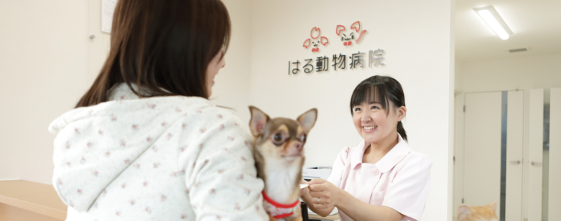 はる動物病院