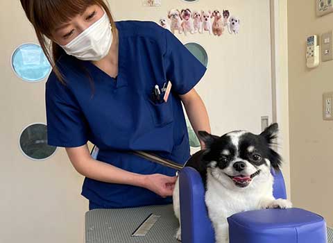 たけペットクリニック