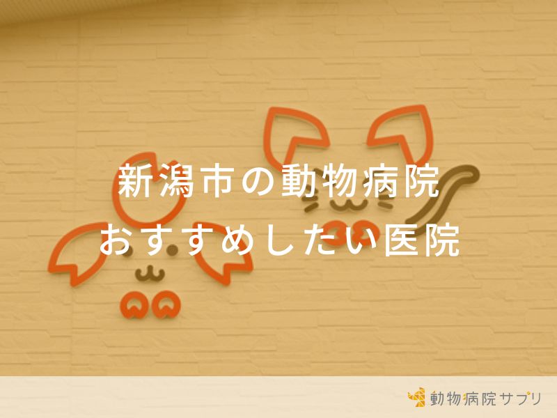 新潟市の動物病院おすすめしたい医院