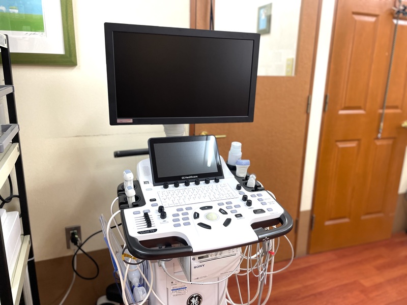 しろうま動物病院