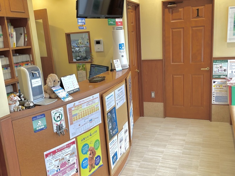 しろうま動物病院