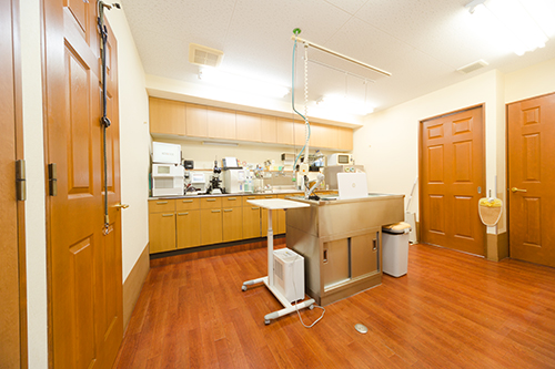 しろうま動物病院