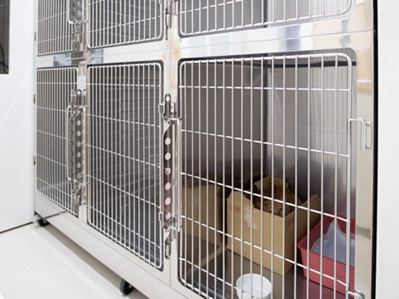 HaRelアニマルクリニック