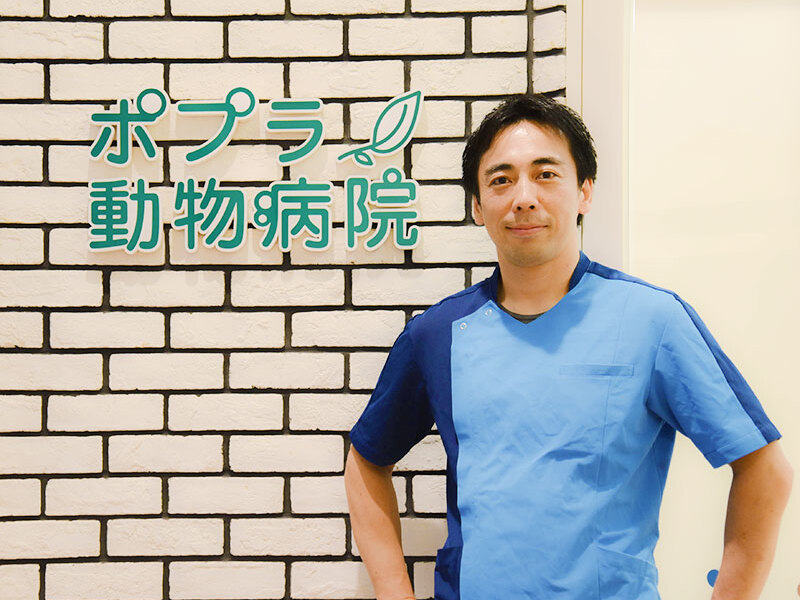 ポプラ動物病院