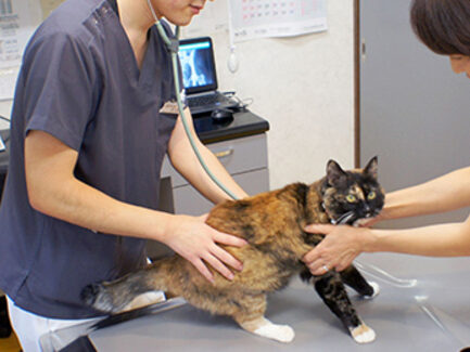 佐野獣医科病院