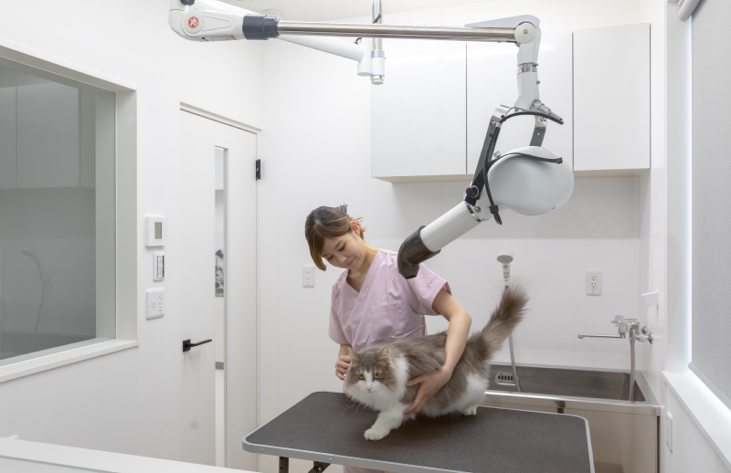 クロス動物病院