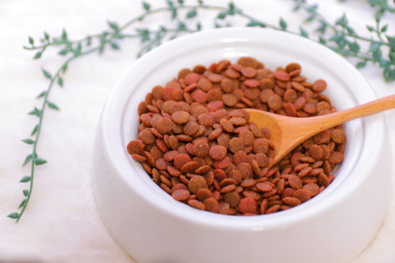 お腹の空きすぎも良くない