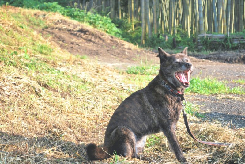 脱水の原因とは