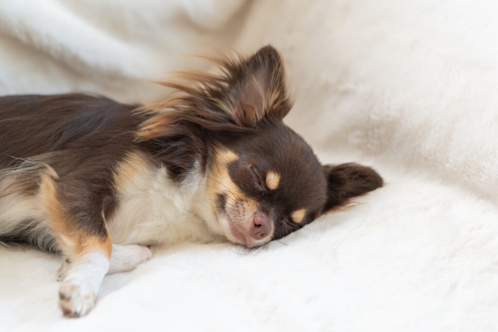 脱水症状でも気を付けたいもの