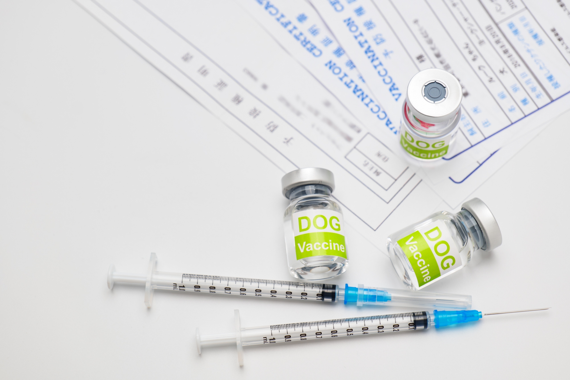 犬用の注射