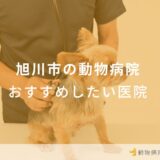 旭川市の動物病院 おすすめしたい医院
