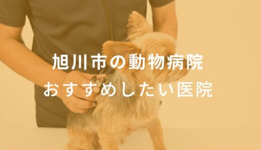 【2024年】旭川市の動物病院 おすすめしたい6医院