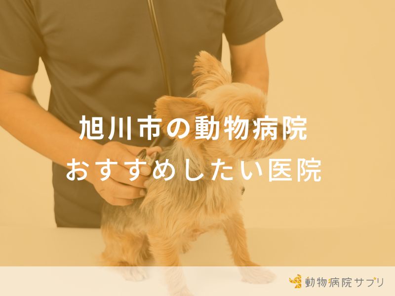 旭川市の動物病院 おすすめしたい医院