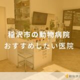 稲沢市の動物病院 おすすめしたい医院
