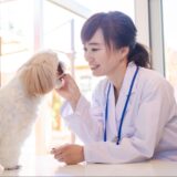 犬のニキビのようなできものとは?犬の皮膚トラブルに多い膿皮症の原因・症状・予防法を紹介