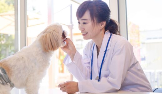 犬のニキビのようなできものとは？犬の皮膚トラブルに多い膿皮症の原因・症状・予防法を紹介