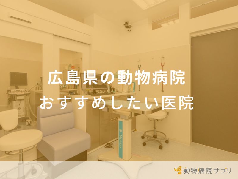 広島県の動物病院おすすめしたい医院