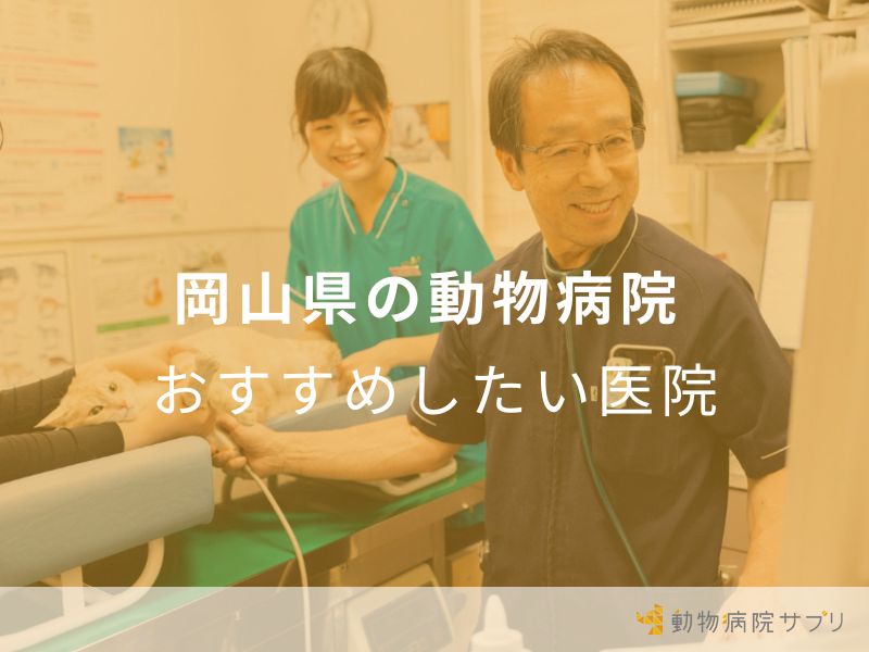 岡山県の動物病院 おすすめしたい医院