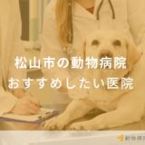 松山市の動物病院 おすすめしたい医院
