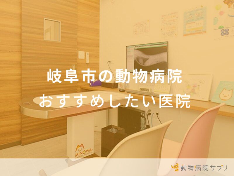 岐阜市の動物病院 おすすめしたい医院