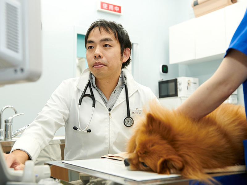 奥沢すばる動物病院