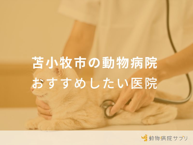 苫小牧市の動物病院 おすすめしたい医院