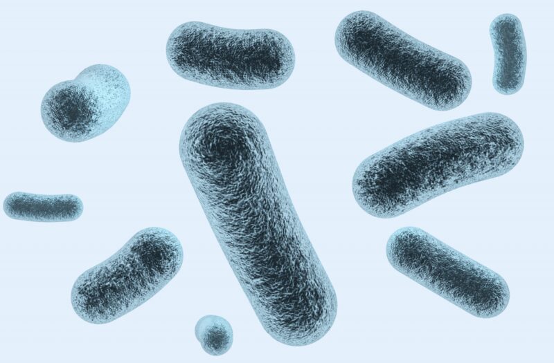 形質細胞性足皮膚炎の原因