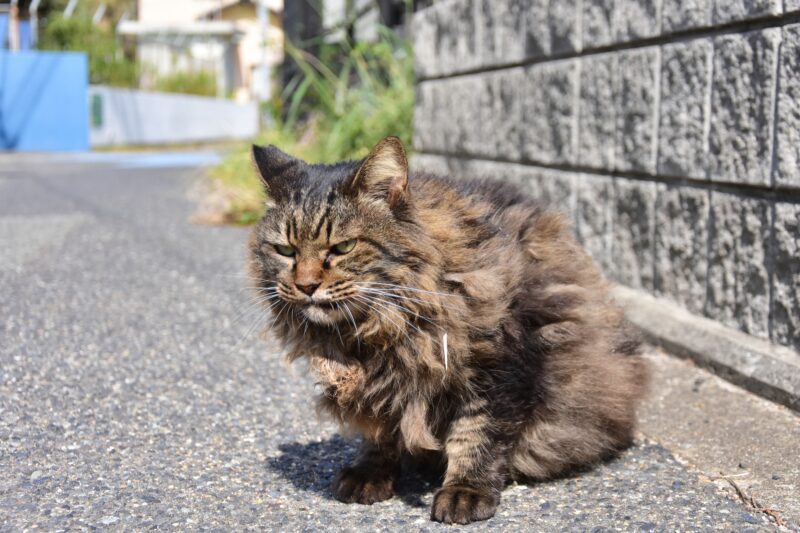 足を引きずるように歩く