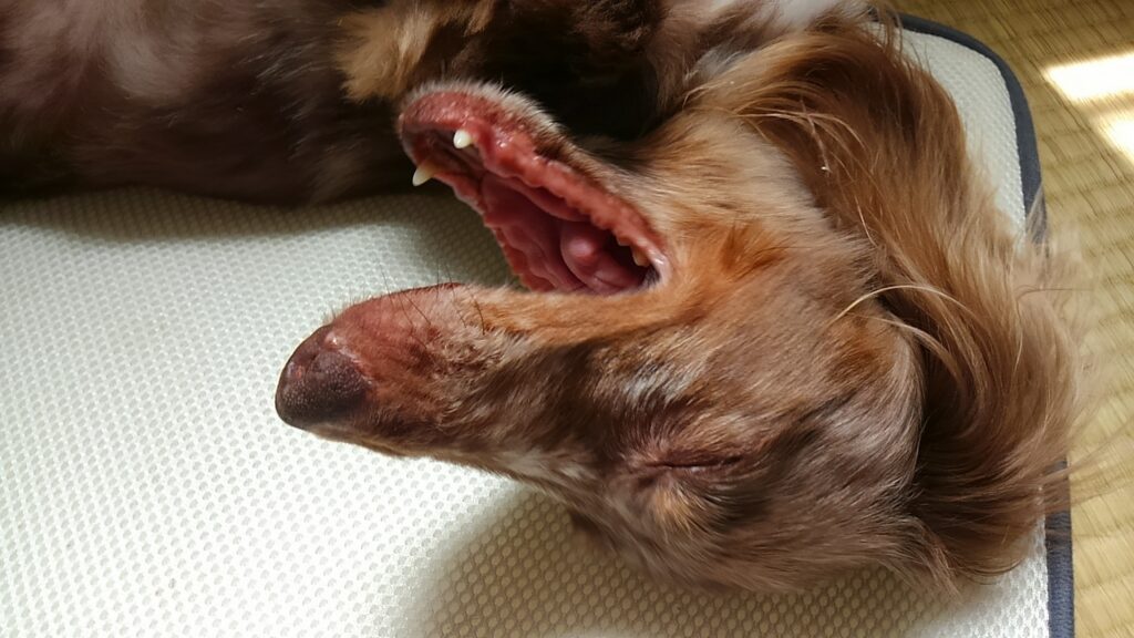 注意すべき症状