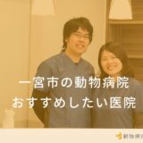 一宮市の動物病院おすすめしたい医院