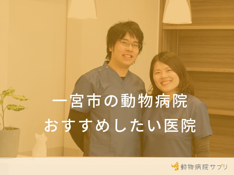 一宮市の動物病院おすすめしたい医院