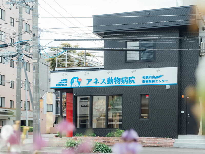 アネス動物病院