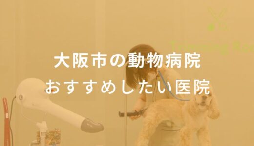 【2024年】大阪市の動物病院 おすすめしたい8医院