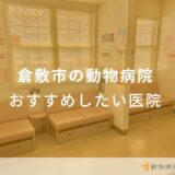 倉敷市の動物病院 おすすめしたい医院