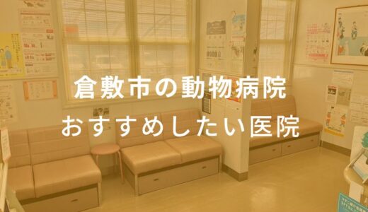 【2024年】倉敷市の動物病院 おすすめしたい6医院